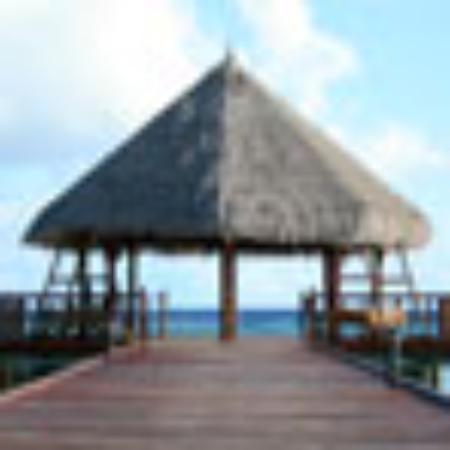 New Sindhu Restaurant